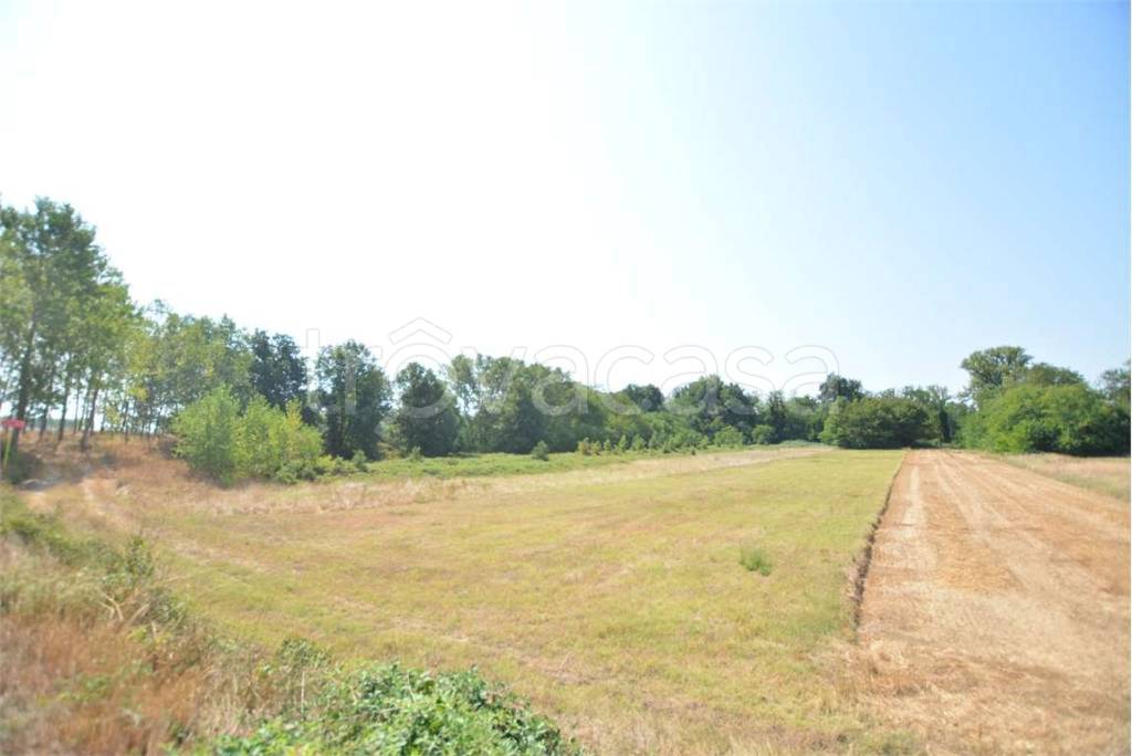 terreno agricolo in vendita a Chignolo Po