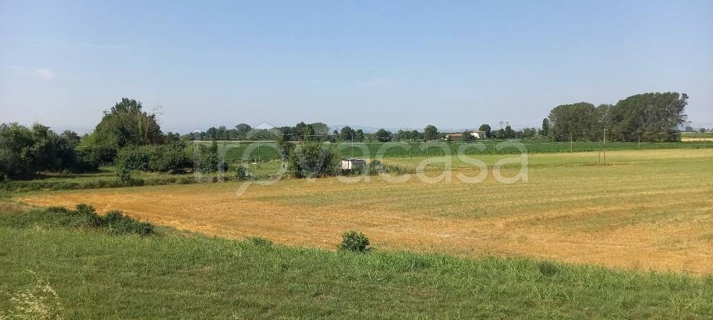 terreno agricolo in vendita a Chignolo Po