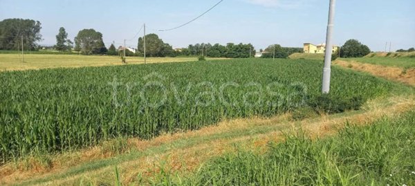 terreno agricolo in vendita a Chignolo Po