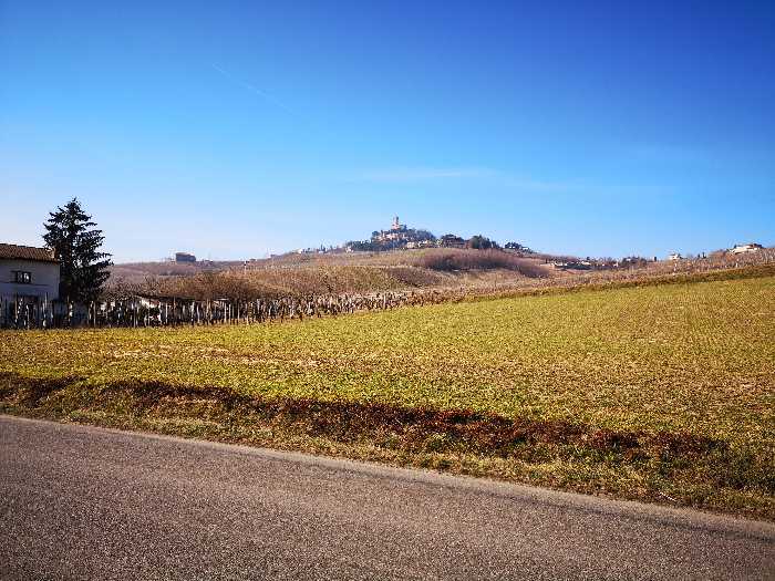 terreno agricolo in vendita a Cigognola