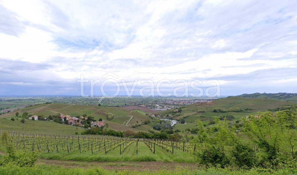 terreno agricolo in vendita a Cigognola