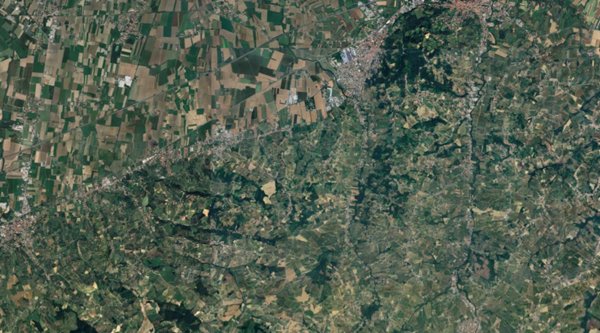 terreno agricolo in vendita a Cigognola