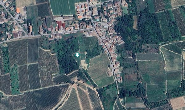 terreno agricolo in vendita a Cigognola