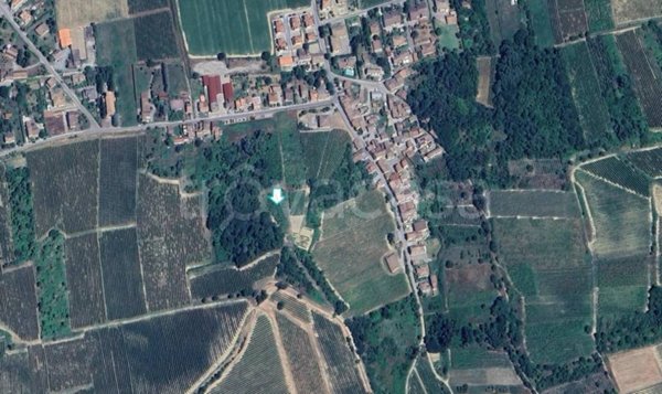 terreno agricolo in vendita a Cigognola