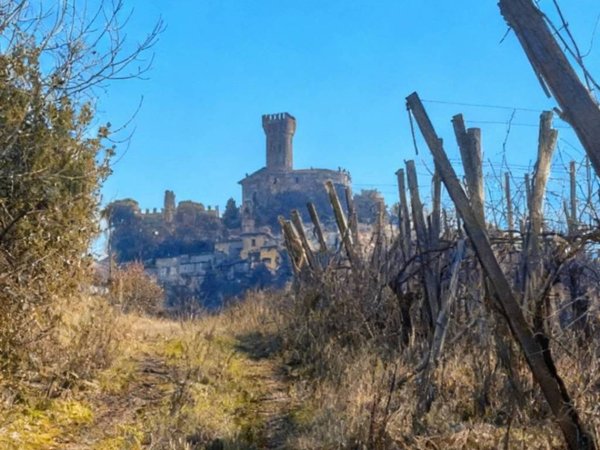 casa indipendente in vendita a Cigognola