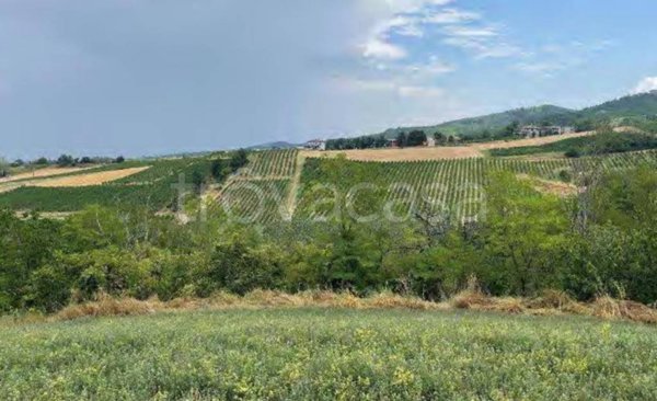 terreno agricolo in vendita a Codevilla