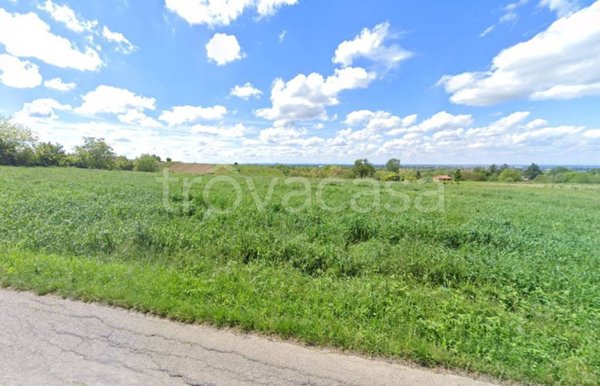 terreno agricolo in vendita a Codevilla