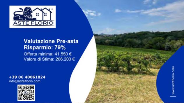 terreno agricolo in vendita a Codevilla