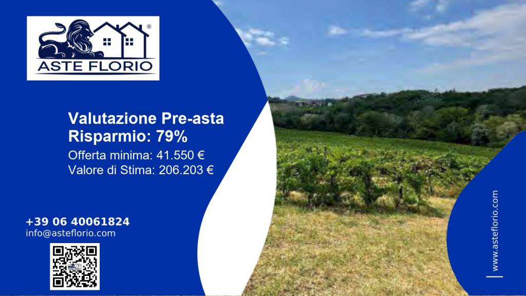 terreno agricolo in vendita a Codevilla