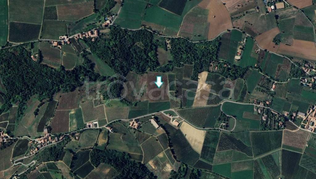 terreno agricolo in vendita a Codevilla