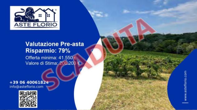 terreno agricolo in vendita a Codevilla