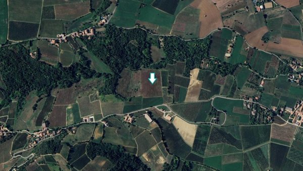 terreno agricolo in vendita a Codevilla