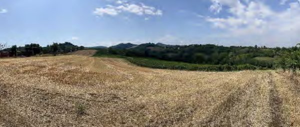 terreno agricolo in vendita a Codevilla
