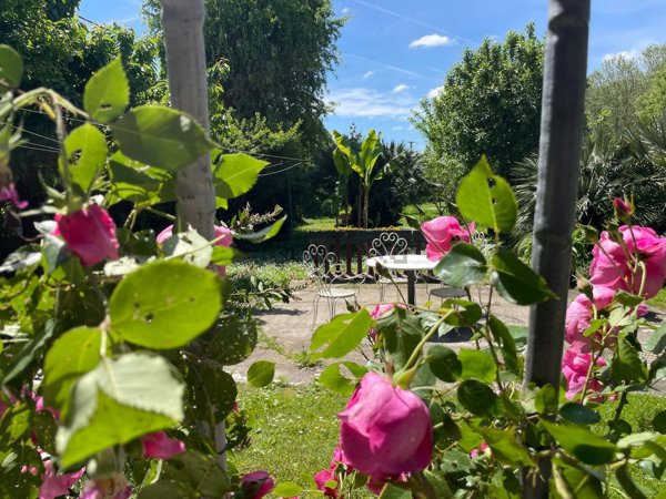 casale in vendita a Corana