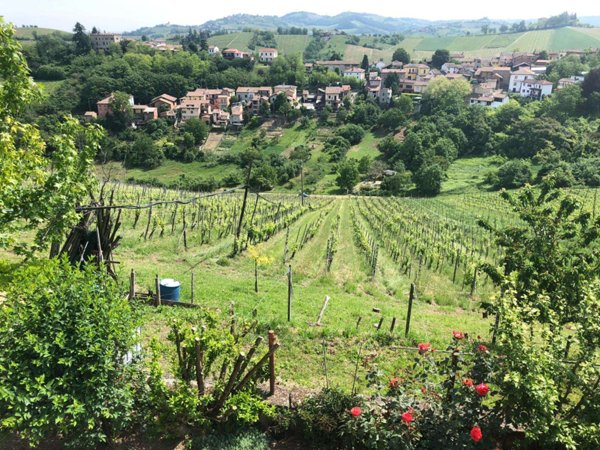 casa indipendente in vendita a Corvino San Quirico