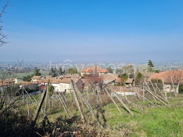 terreno agricolo in vendita a Corvino San Quirico in zona Mazzolino