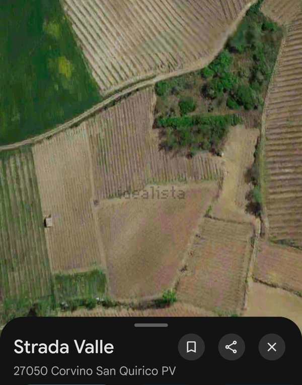 terreno agricolo in vendita a Corvino San Quirico