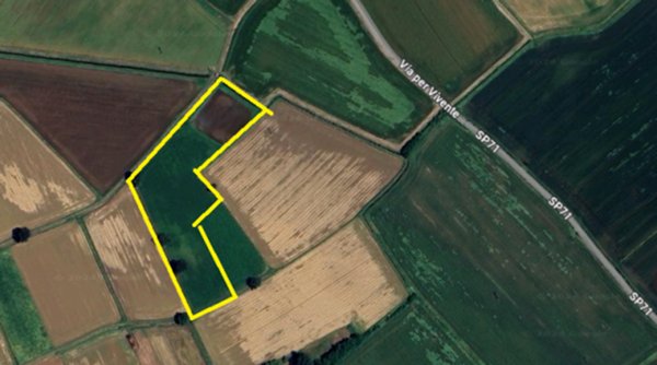 terreno agricolo in vendita a Cura Carpignano