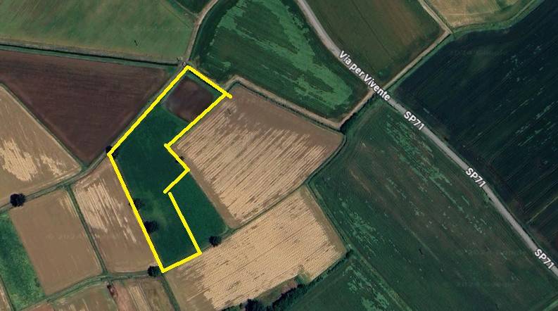 terreno agricolo in vendita a Cura Carpignano