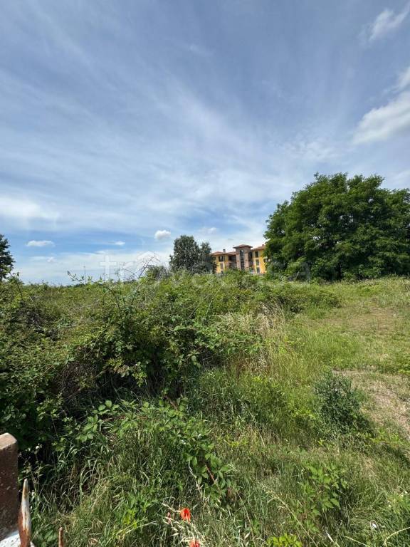 terreno edificabile in vendita a Cura Carpignano in zona Prado