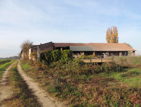 azienda agricola in vendita a Dorno