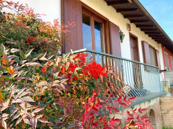 casa indipendente in vendita a Dorno