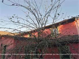 appartamento in vendita a Ferrera Erbognone