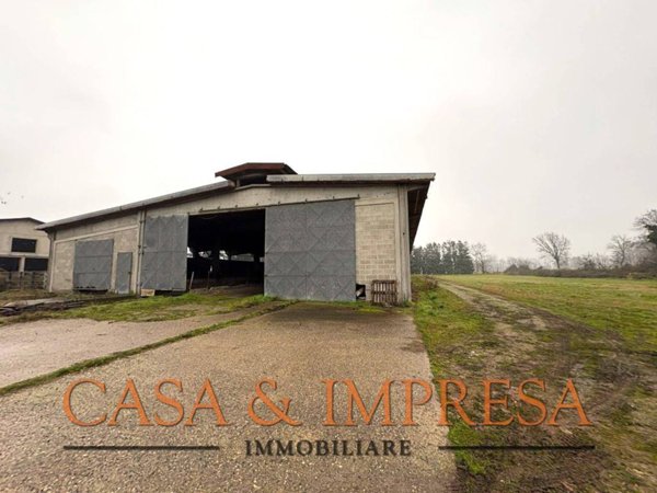 locale commerciale in vendita a Filighera