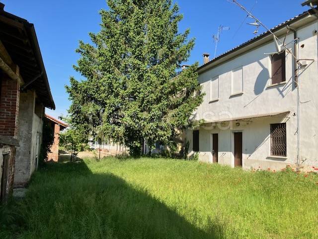 casa indipendente in vendita a Galliavola