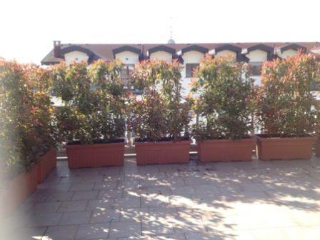 appartamento in vendita a Gambolò