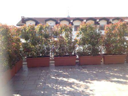 appartamento in vendita a Gambolò