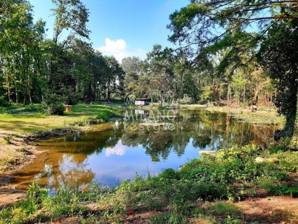 casa indipendente in vendita a Gambolò