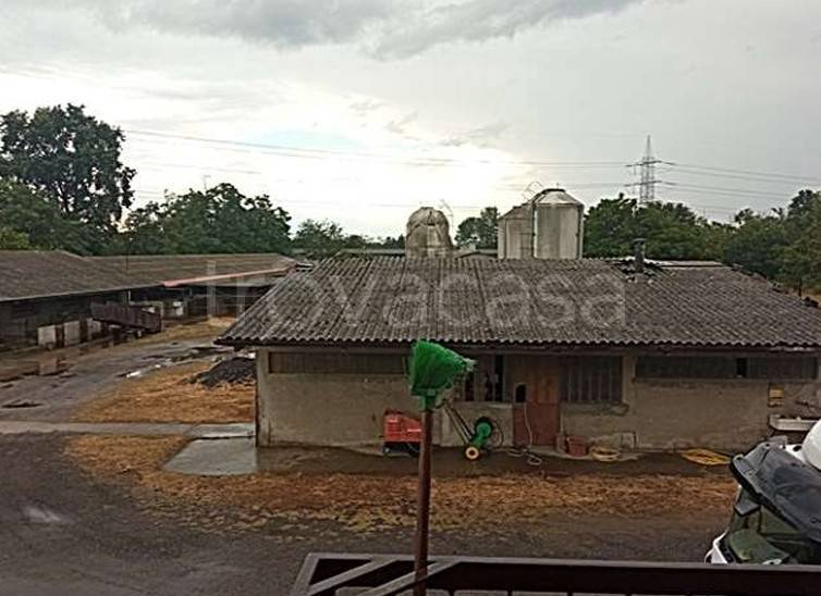 azienda agricola in vendita a Gropello Cairoli