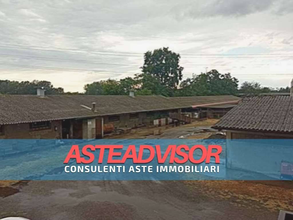 azienda agricola in vendita a Gropello Cairoli