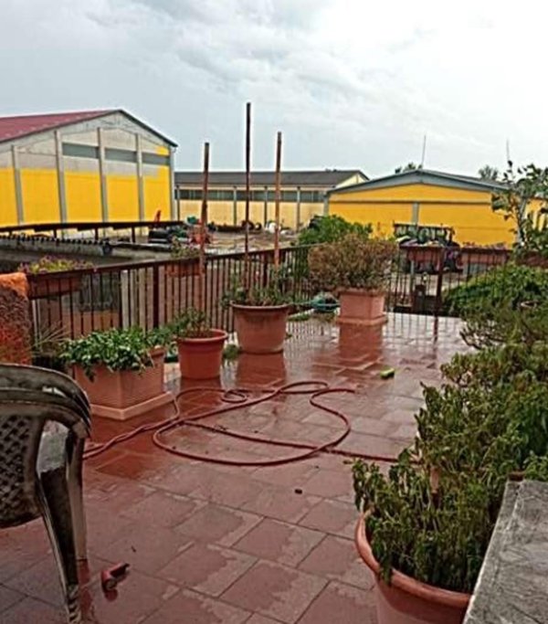 appartamento in vendita a Gropello Cairoli