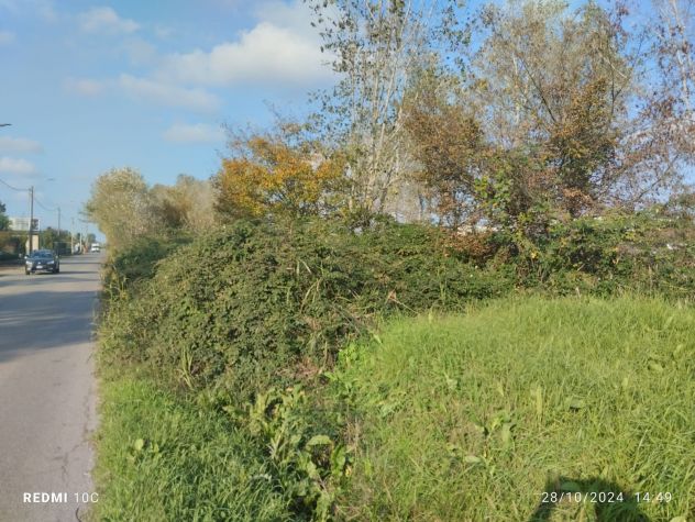 terreno agricolo in vendita ad Inverno e Monteleone