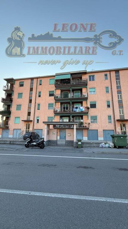 immagine annuncio 0 di 15