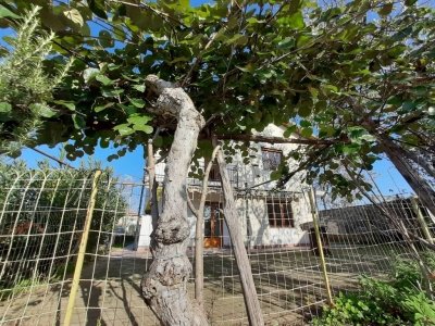 casa indipendente in vendita a Leinì