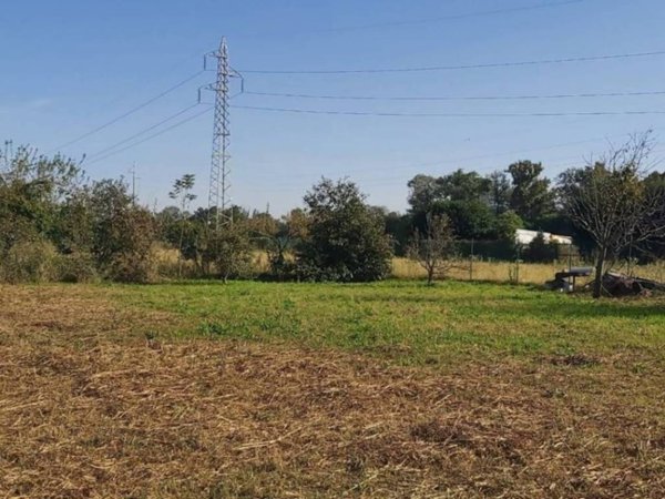 terreno agricolo in vendita a Leinì in zona Tedeschi