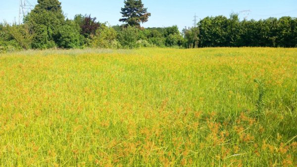 mansarda in vendita a Leinì