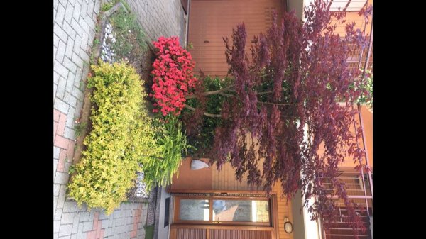 esavano in vendita a Leinì