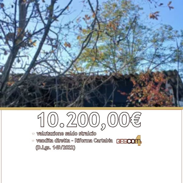 immagine annuncio 0 di 10