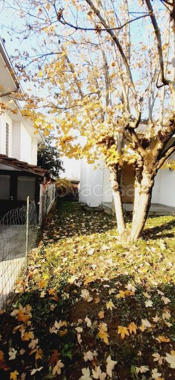 casa indipendente in vendita a Lungavilla
