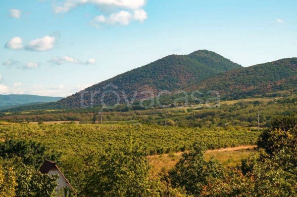 terreno agricolo in vendita a Lungavilla