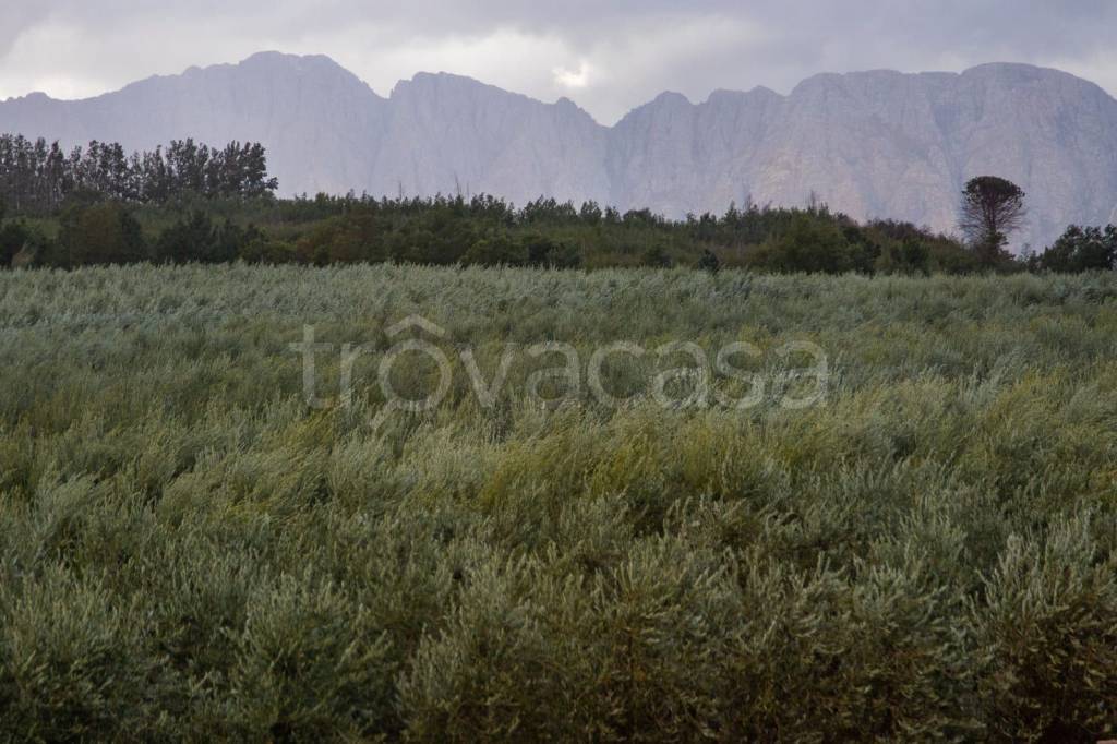 terreno agricolo in vendita a Lungavilla