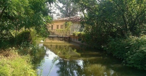 casa indipendente in vendita a Magherno