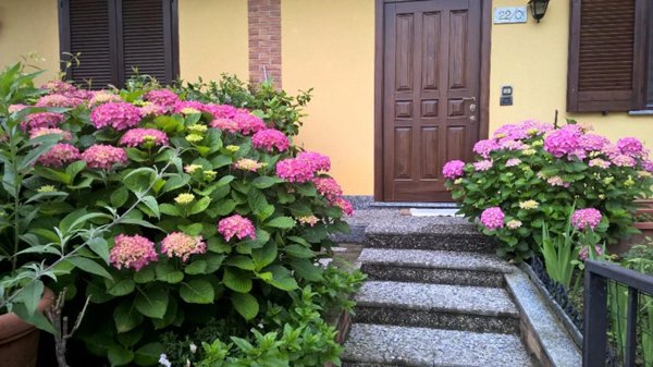 casa indipendente in vendita a Marzano