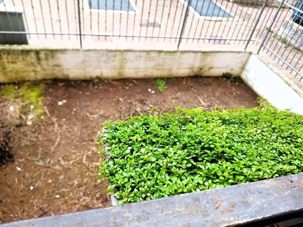 appartamento in vendita a Marzano