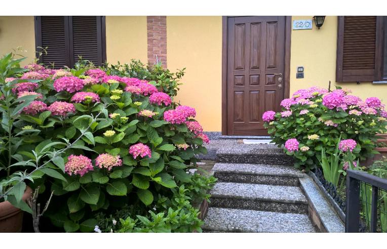 casa indipendente in vendita a Marzano