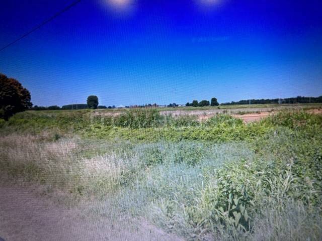 terreno agricolo in vendita a Mede